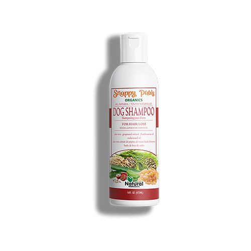 Organic Dog Shampoo for Hair Loss Natural Pet Supplies JT Pets Hamilton
