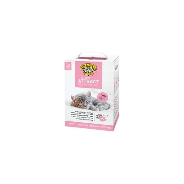 Kitten attract best sale