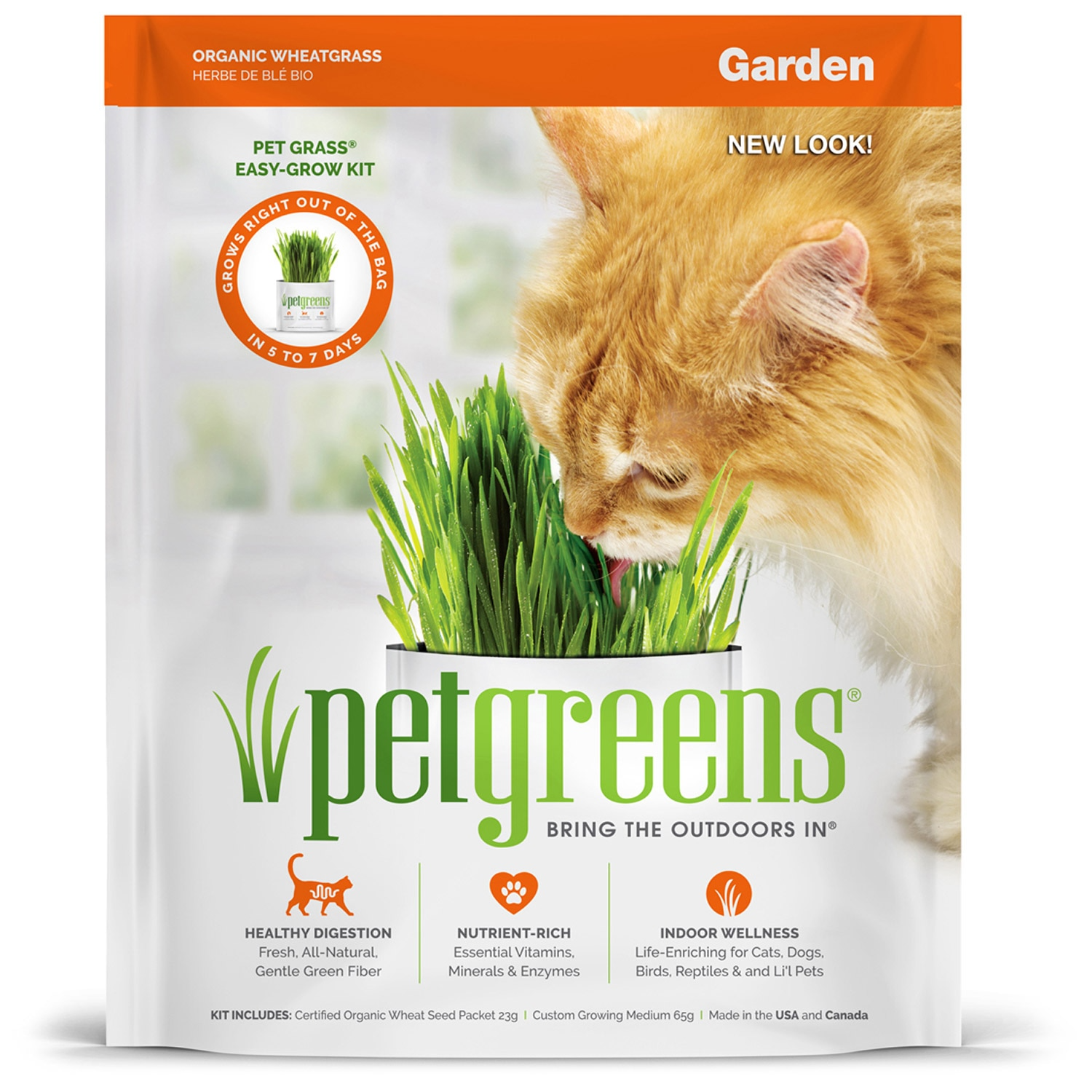Cat grass 2025 growing kit